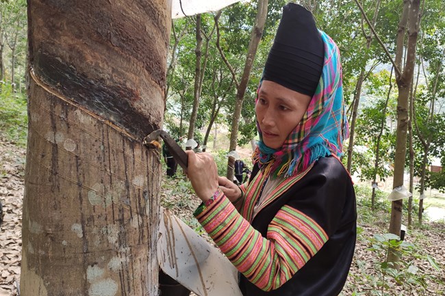  Lai Châu: Giá xăng dầu tăng cao khiến người dân gặp khó (22/6/2022)